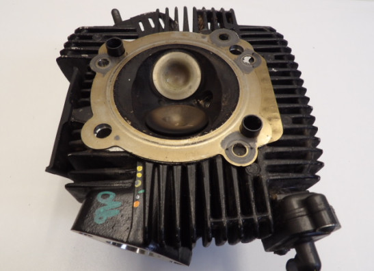 Cilinderkop Ducati Scrambler Desert Sled