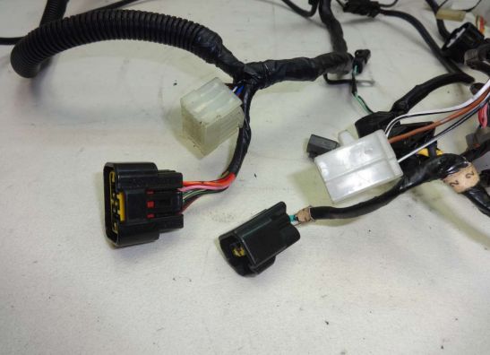 Wire Harness Suzuki GSX R 600