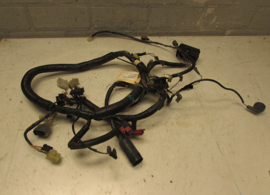 Wire Harness Kawasaki ER 5