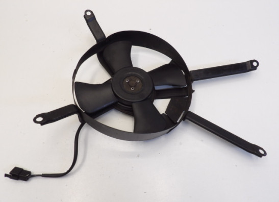 Fan Kawasaki ZXR 750