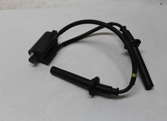 Bobine Yamaha FAZER 1000