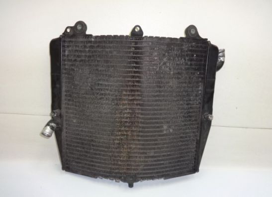 Radiator Suzuki RF 600