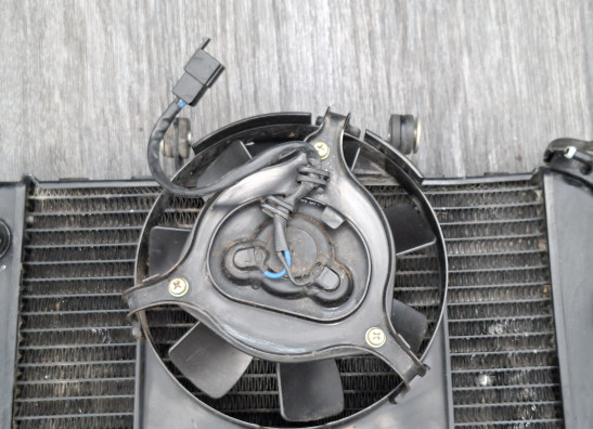 Radiateur Yamaha TDM