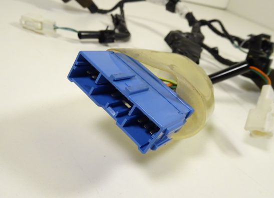 Wire harness front Honda CBR 1100 XX