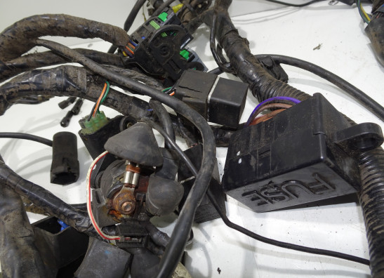 Wire Harness Triumph Sprint RS