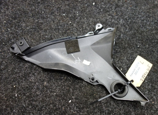 Linker zijkuip klein Kawasaki Z 800