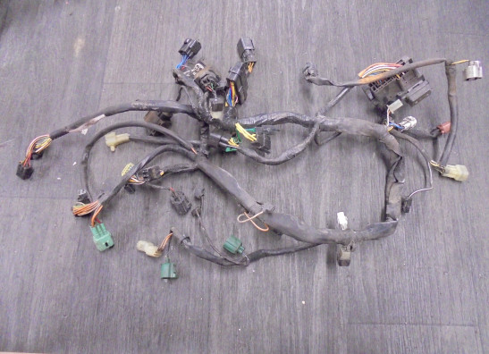Kabelboom Suzuki DL 1000 V STROM 2002-2004