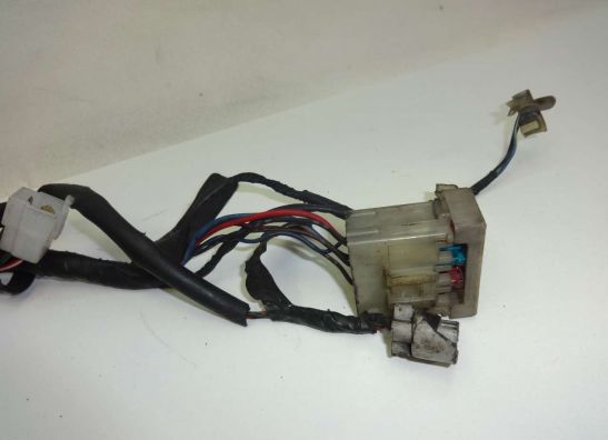 Kabelboom Honda PC 800