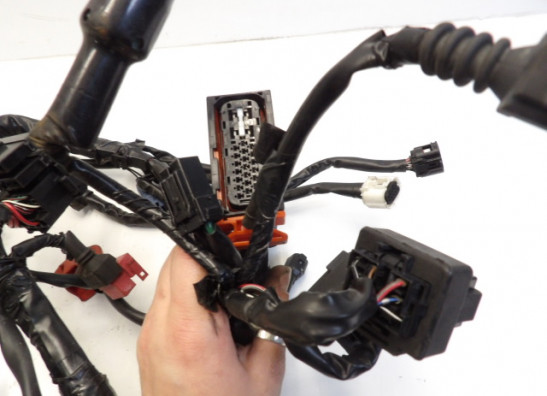 Kabelboom Honda CBR 600 F