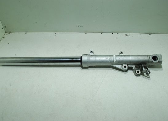 Standrohr Gabelholm rechts komplett BMW F 800 S - ST