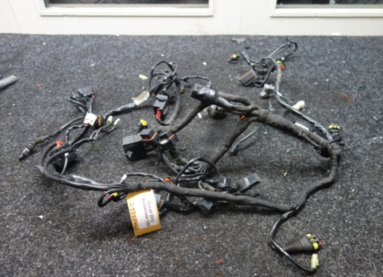 Wire Harness Ducati Multistrada 1200