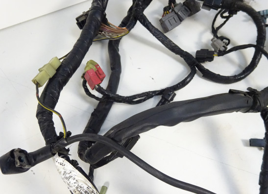 Kabelbaum Kawasaki ER 6