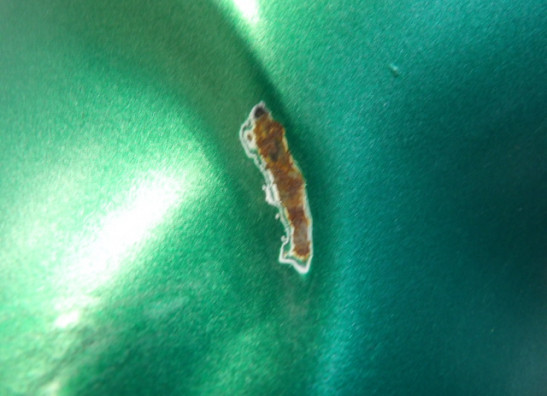 Tank Kawasaki ZX 9 R