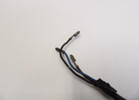 Knipperlicht Yamaha XV 1100 Virago