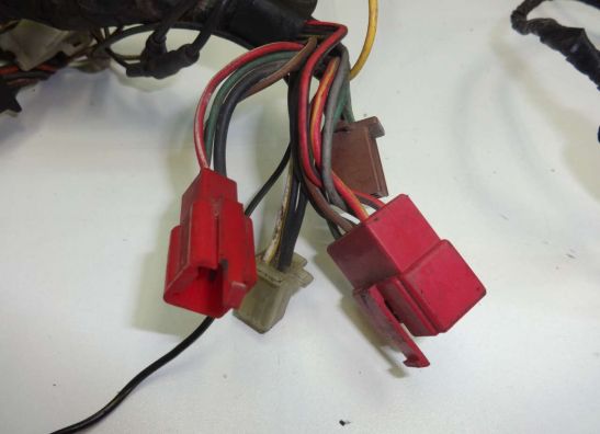 Wire Harness Kawasaki GPZ 900