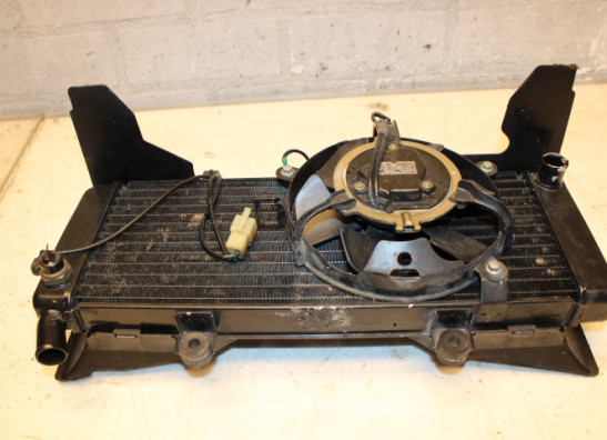 Radiateur Honda CBR 600 F