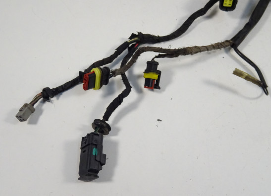 Wire Harness Ducati monster 696