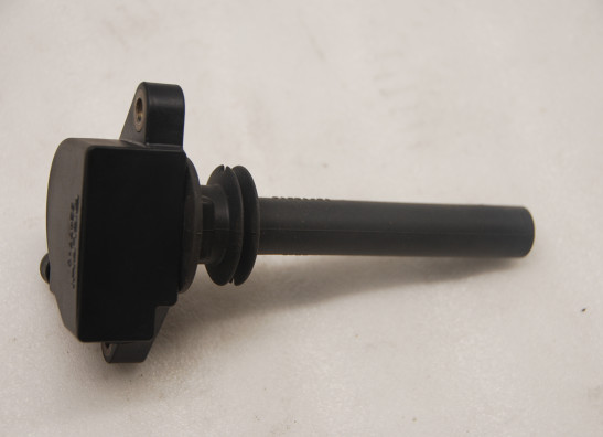 Bobine Harley Davidson VROD VRSC