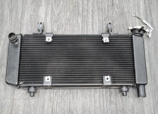 Kuhler CFMoto 650 MT