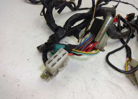 Wire Harness Kawasaki ZZR 1100
