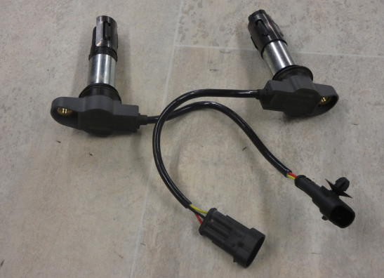 Bobine Aprilia Shiver 900