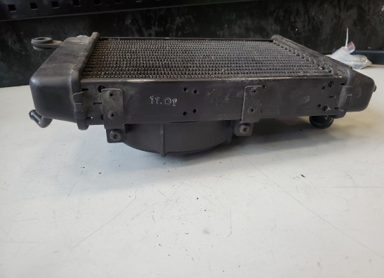 Radiator Aprilia RSV 1000
