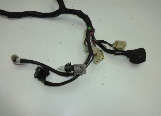 Kabelbaum vorne Yamaha FJR 1300