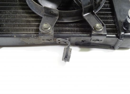 Radiator Suzuki SV 650