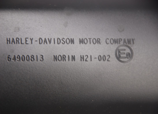 Auspuff Harley Davidson Pan America