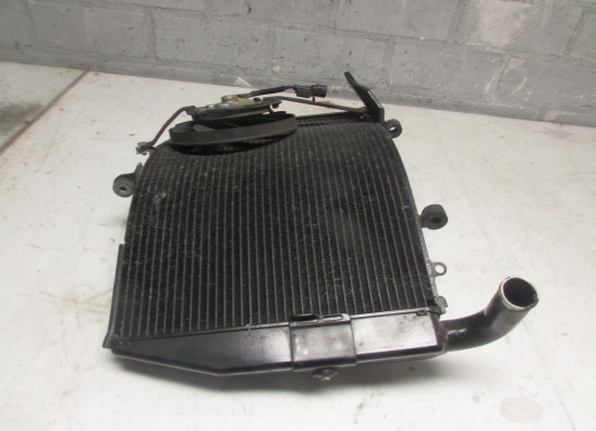 Radiateur Honda CBR 600 RR