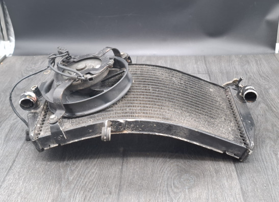 Kuhler Honda CBR Fireblade