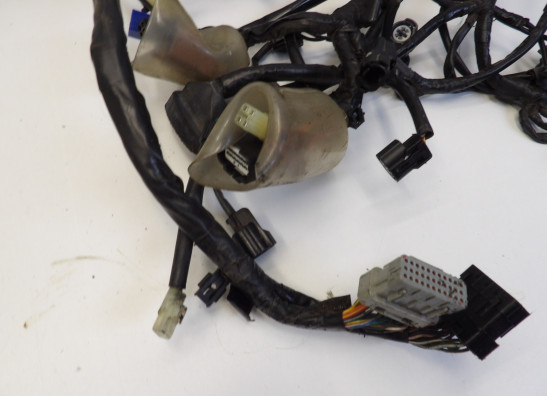 Kabelboom Honda CBF 1000