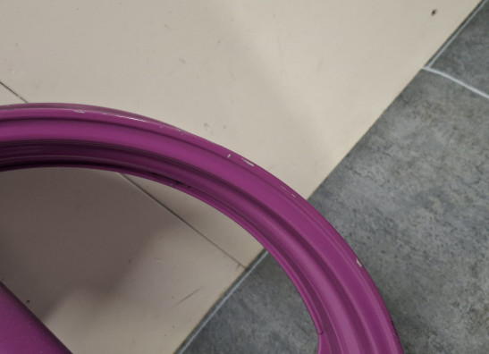 Voorvelg Yamaha FZR 600