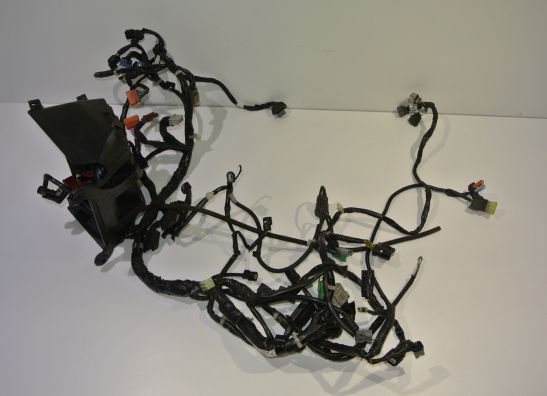 Wire Harness Honda NC 700 X