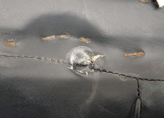 Sitzbank Harley Davidson Touring FL