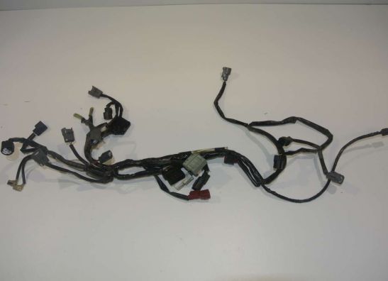 Kabelboom Honda CB 1000 R