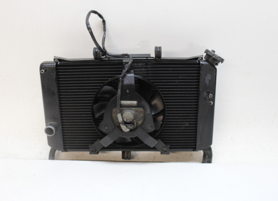 Radiateur Yamaha XJ 6 N