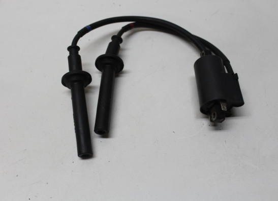 Bobine Yamaha FAZER 1000