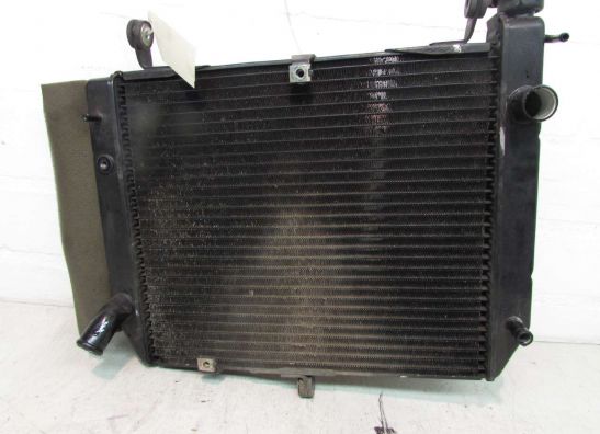 Radiateur Yamaha YZF R1