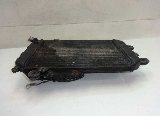 Kuhler Kawasaki VN 700  750