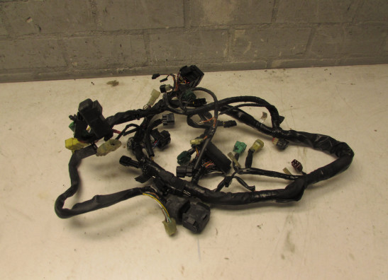 Wire harness front Suzuki SV 650