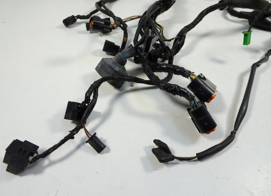 Kabelbaum Kawasaki ER 6