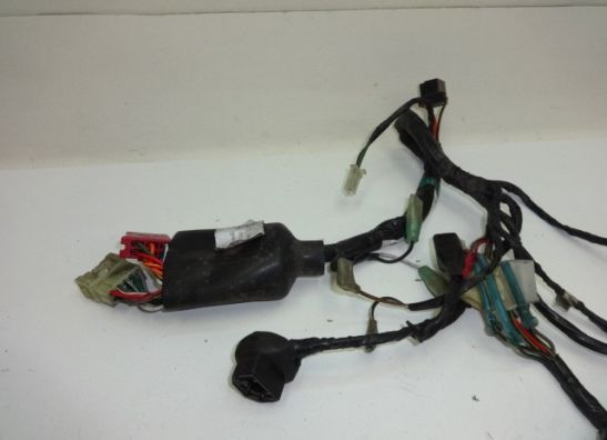 Kabelbaum Kawasaki GTR 1000