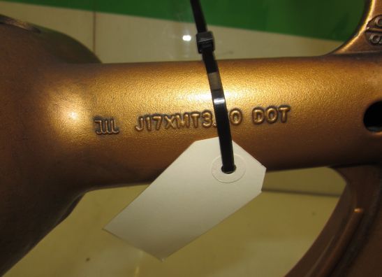 Voorvelg Suzuki TL 1000