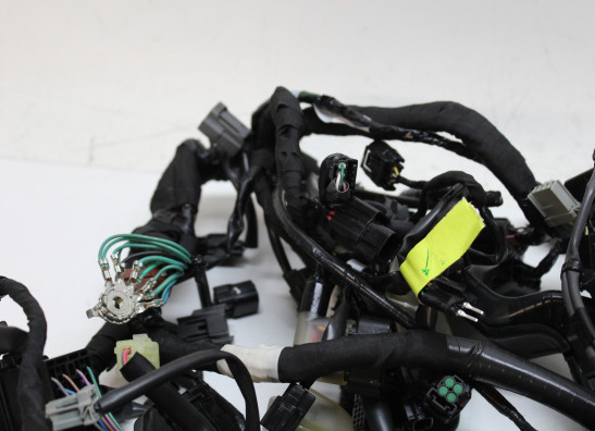 Kabelbaum Honda CRF 1100 Africa Twin