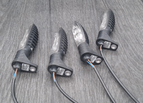 Knipperlicht BMW R 1250 GS