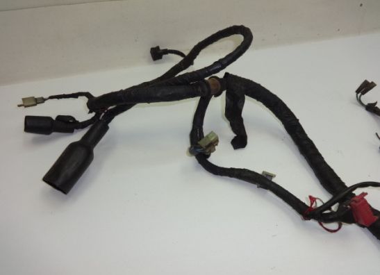 Kabelboom Honda CBX 750 F