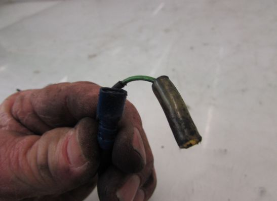 Wire harness front Triumph Tiger 900