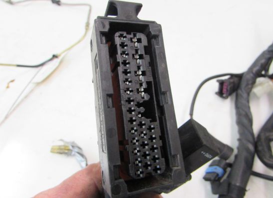 Kabelboom voor Ducati ST4