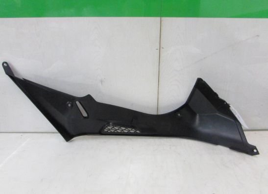 Tankschutz BMW S 1000 RR